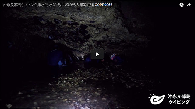 沖永良部島ケイビング動画 水に浸かりながらの匍匐前進