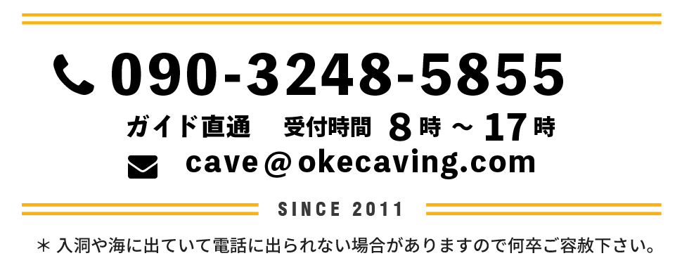 ご予約・お問合せ