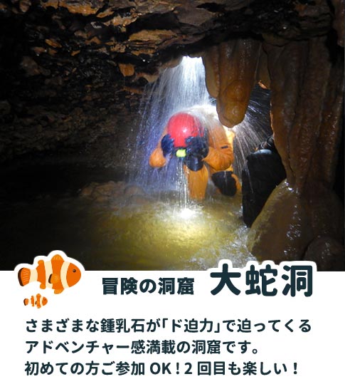 冒険の洞窟 大蛇洞