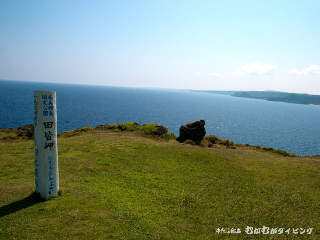 田皆岬