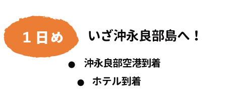 １日目いざ沖永良部島へ