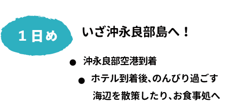 １日め　いざ沖永良部島へ